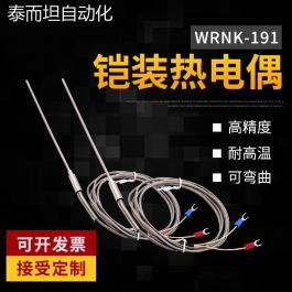 K型微細探針補償導(dǎo)線式鎧裝熱電偶 WRN-191